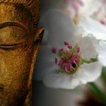 Réfexologie plantaire et massage californien