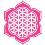 amma 75