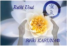 Reiki usui & reiki karuna dans le 27 Eure à croth
