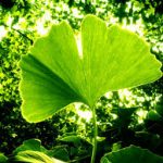 Naturopathe dans le 35 Ille-et-Vilaine à Messac