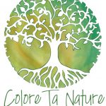 Naturopathe, conseil en lithothérapie et chromothérapie en Belgique à Frasnes