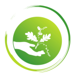 Naturopathie, réflexologie plantaire dans le 71 Saône-et-Loire à Charnay-lès-Mâcon