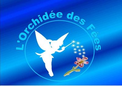 Médecine Traditionnelle Chinoise, Conseillère en Fleurs de Bach, Coach en épanouissement dans le 971 la Guadeloupe à Le Moule
