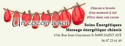 Thérapeute en soins massages énergétiques chinois dans le 56 Morbihan à Saint-Avé