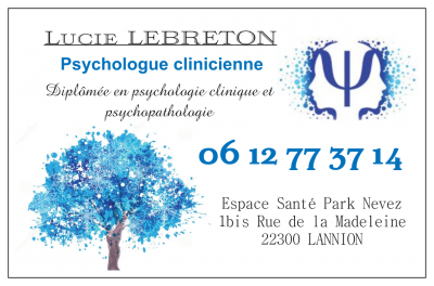 Psychologue, psychothérapeute, neuropsychologue dans le 22 Côtes d'Armor à Lannion