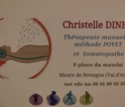 Somatopathe, thérapeute manuelle méthode Poyet dans le 35 Ille-et-Vilaine à Maure-de-Bretagne / Val d'Anast