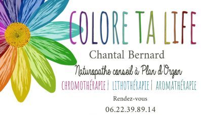 Naturopathe, chromothérapie, lithothérapie dans le 13 Bouches-du-Rhône à Plan-d’Orgon