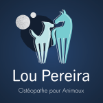 Ostéopathe pour animaux dans le 13 Bouches-du-Rhône à Aix-en-Provence