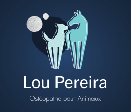 Ostéopathe pour animaux dans le 13 Bouches-du-Rhône à Aix-en-Provence