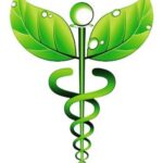 ELENA LE GUEVEL Naturopathe, Nutrithérapeute à Fontaine-le-Bourg