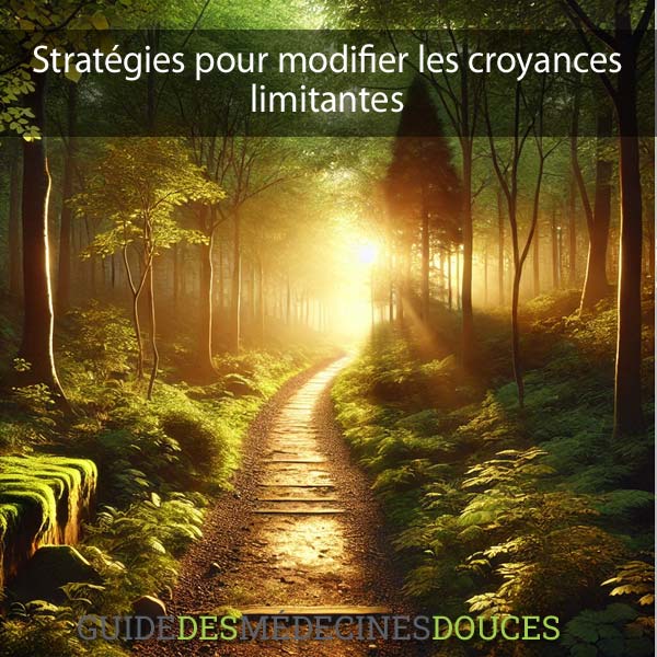 Stratégies pour modifier les croyances limitantes